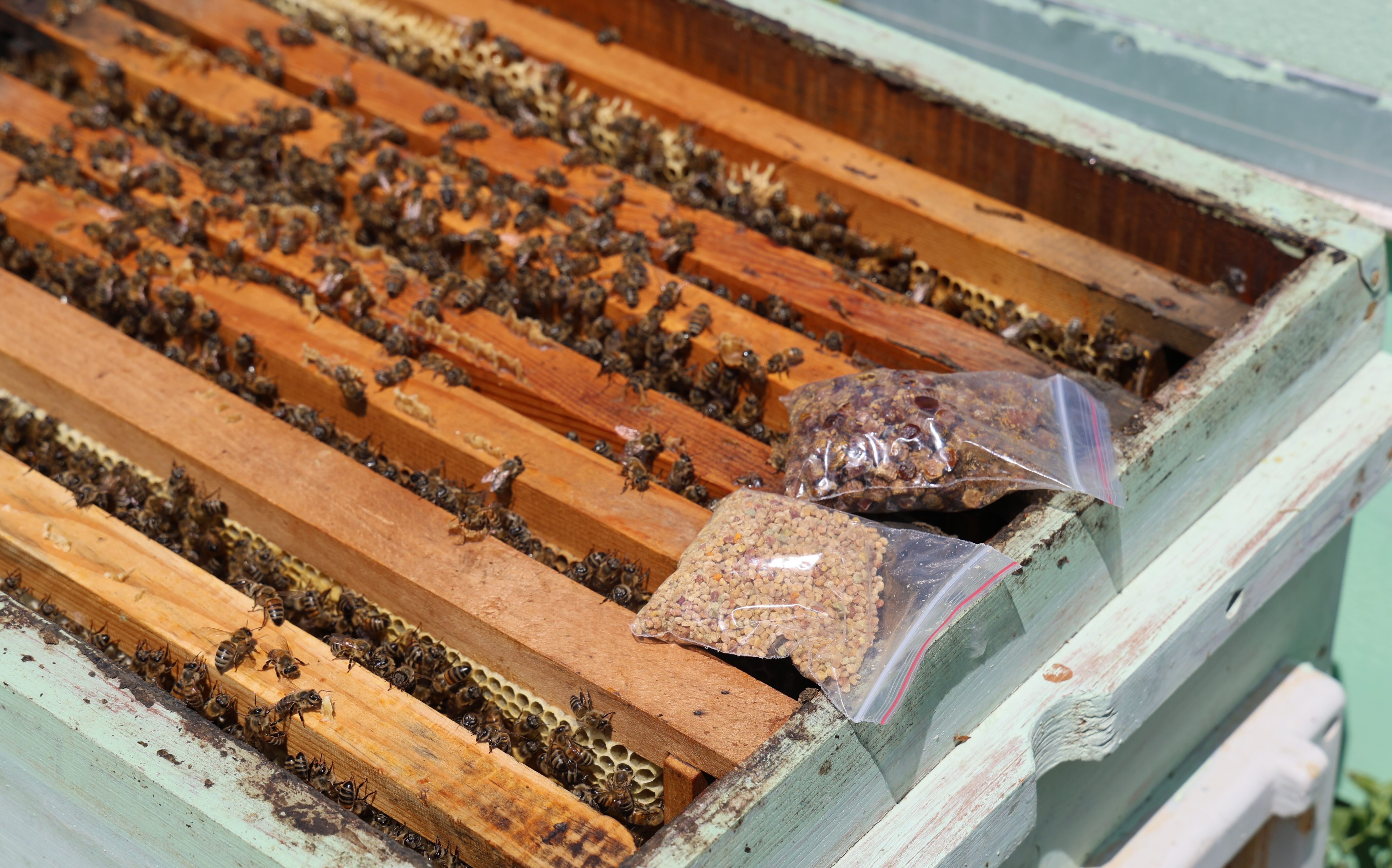 Geçmişte çöpe atıyorlardı! Kilosu 3 bin liradan satılıyor, bir çay kaşığı bir kilogram ete eşdeğer - 1. Resim