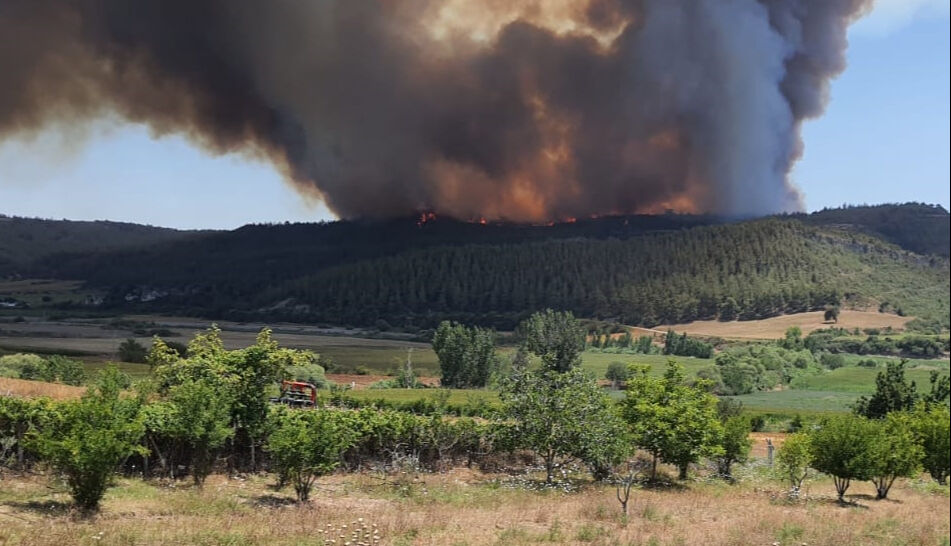 Adana'da korku dolu anlar: Yangın söndürme uçağı düştü! Pilot mesajla haber verdi... Adana'da korku dolu anlar: Yangın söndürme uçağı düştü! Pilot mesajla haber verdi... - 2. Resim