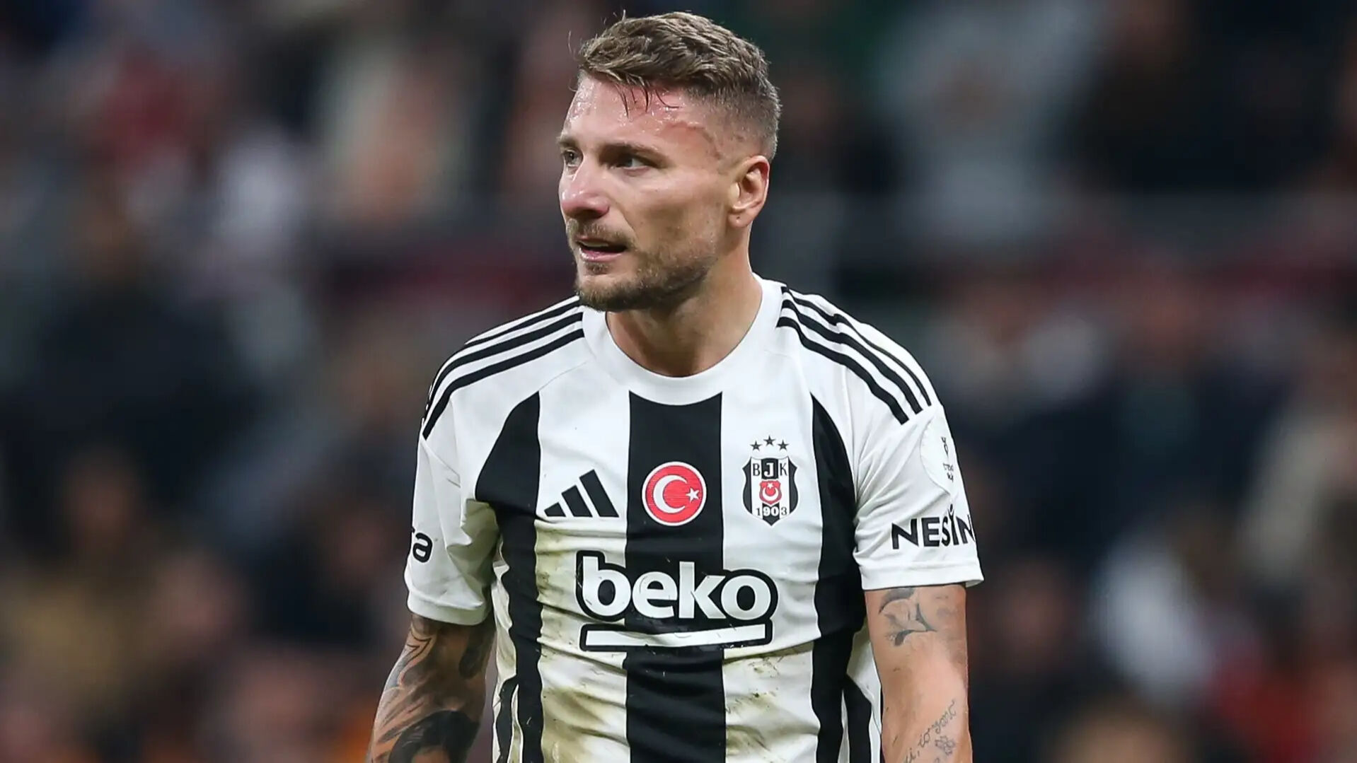 Bologna’dan Ciro Immobile hamlesi! Beşiktaş ayrılığa sıcak - 3. Resim
