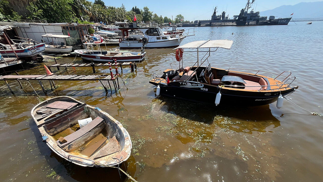 Denizin rengi değişti! Büyükşehirden açıklama var - 2. Resim