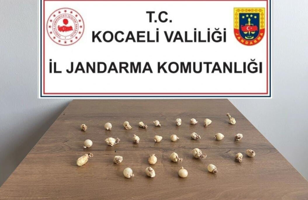 Rahatsızlanınca hastaneye kaldırıldı! Midesinde taşıdıkları foyasını ortaya çıkardı - 1. Resim