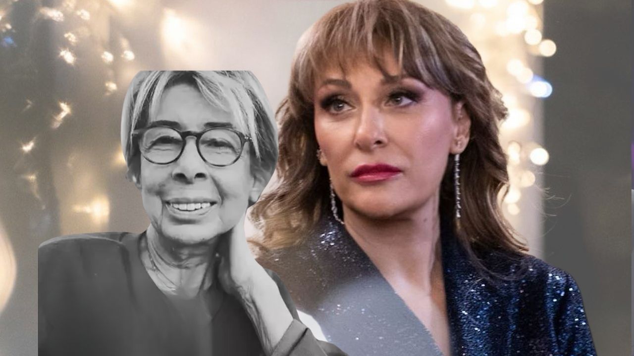 Sevgi Birsel ile Gülse Birsel kardeş mi? Sevgi Birsel ile Gülse Birsel kardeş mi?