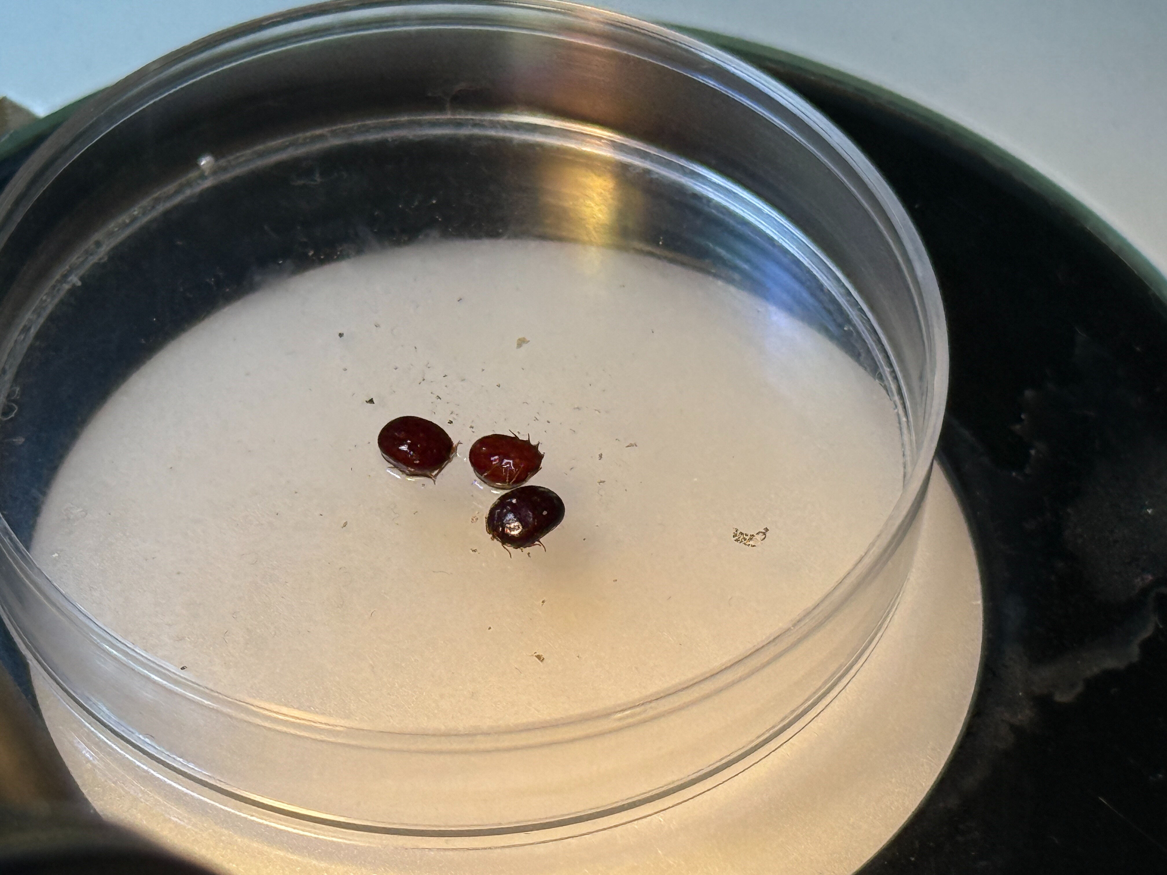 Tüm belediyeler seferber oldu: Gece yarısına kadar çalışıyorlar! Yeter ki bir kişi daha ölmesin... - 3. Resim