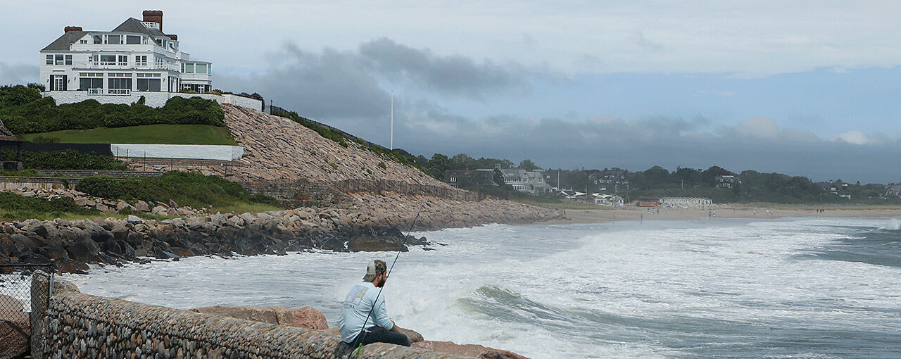 Ünlü şarkıcı Taylor Swift’in yazlığının yanında insan bacağı kemiği bulundu - 1. Resim