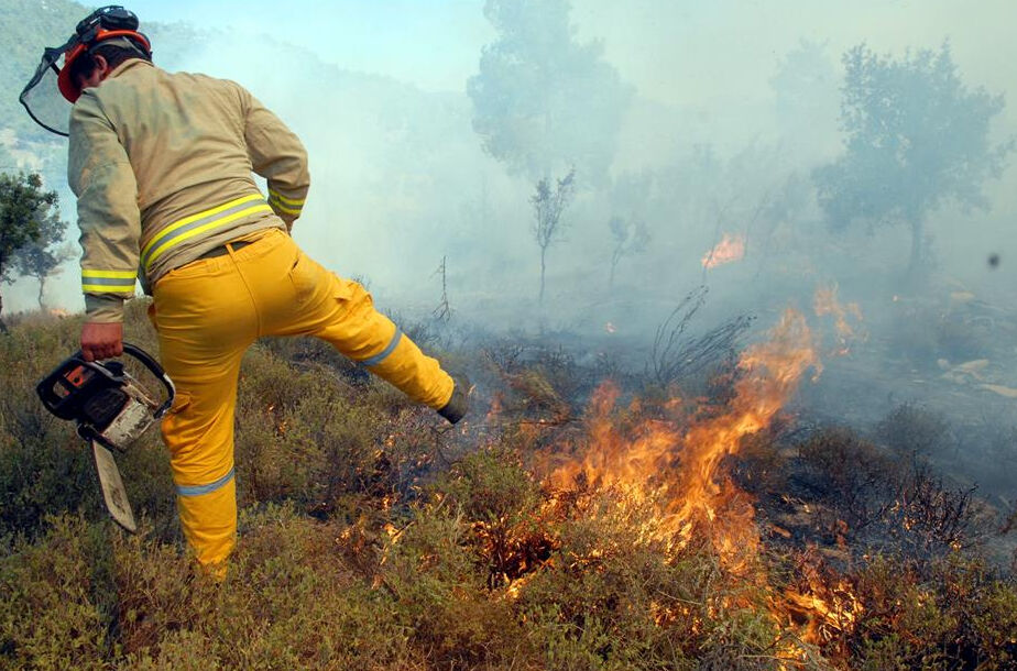 1 milyon köylüye bu eğitim verildi! Yapay zekâ devreye girdi, risk önceden... - 1. Resim