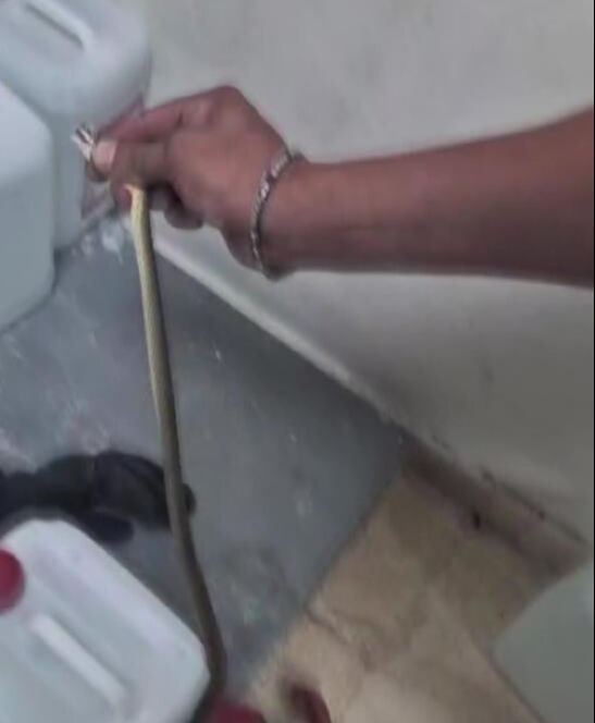 Amasya'da hastanede yılan alarmı! Görevliler şoke oldu - 1. Resim