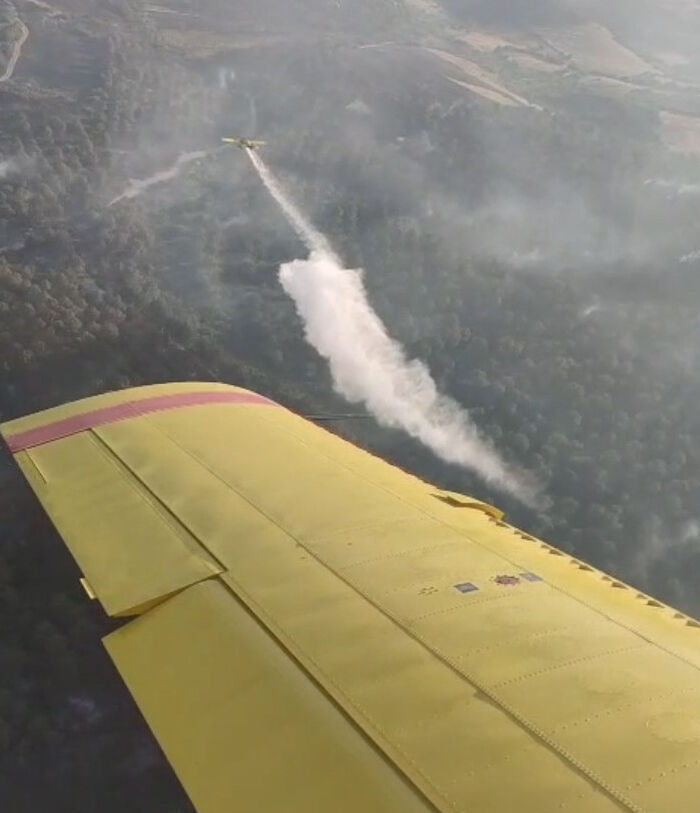 Balıkesir'deki orman yangınları kontrol altında! Biçerdöver iddiasına 5 gözaltı var Balıkesir'deki orman yangınları kontrol altında! Biçerdöver iddiasına 5 gözaltı var - 2. Resim