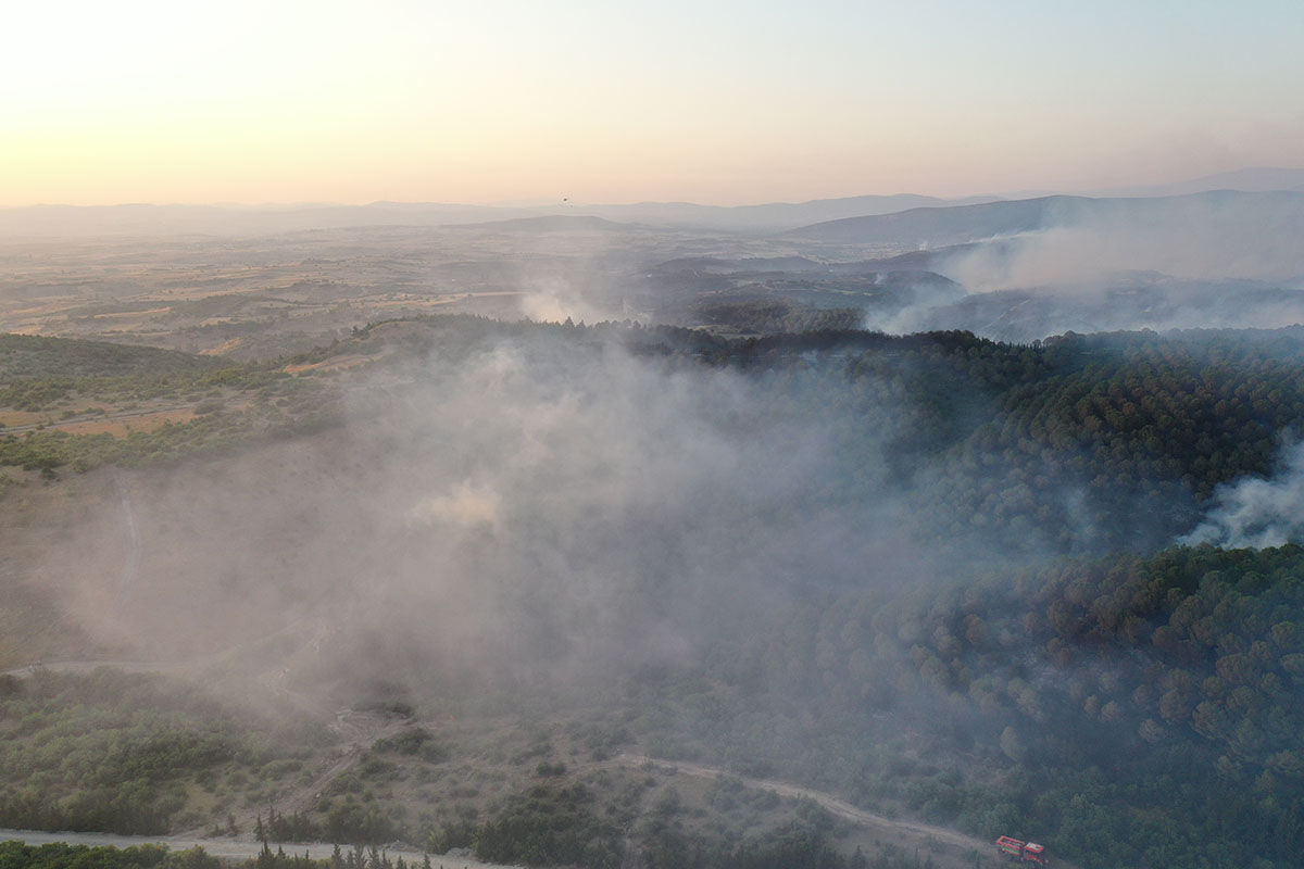 Balıkesir'deki orman yangınlarının sebebi belli oldu, 5 kişi gözaltında! Balıkesir'deki orman yangınlarının sebebi belli oldu, 5 kişi gözaltında! - 1. Resim