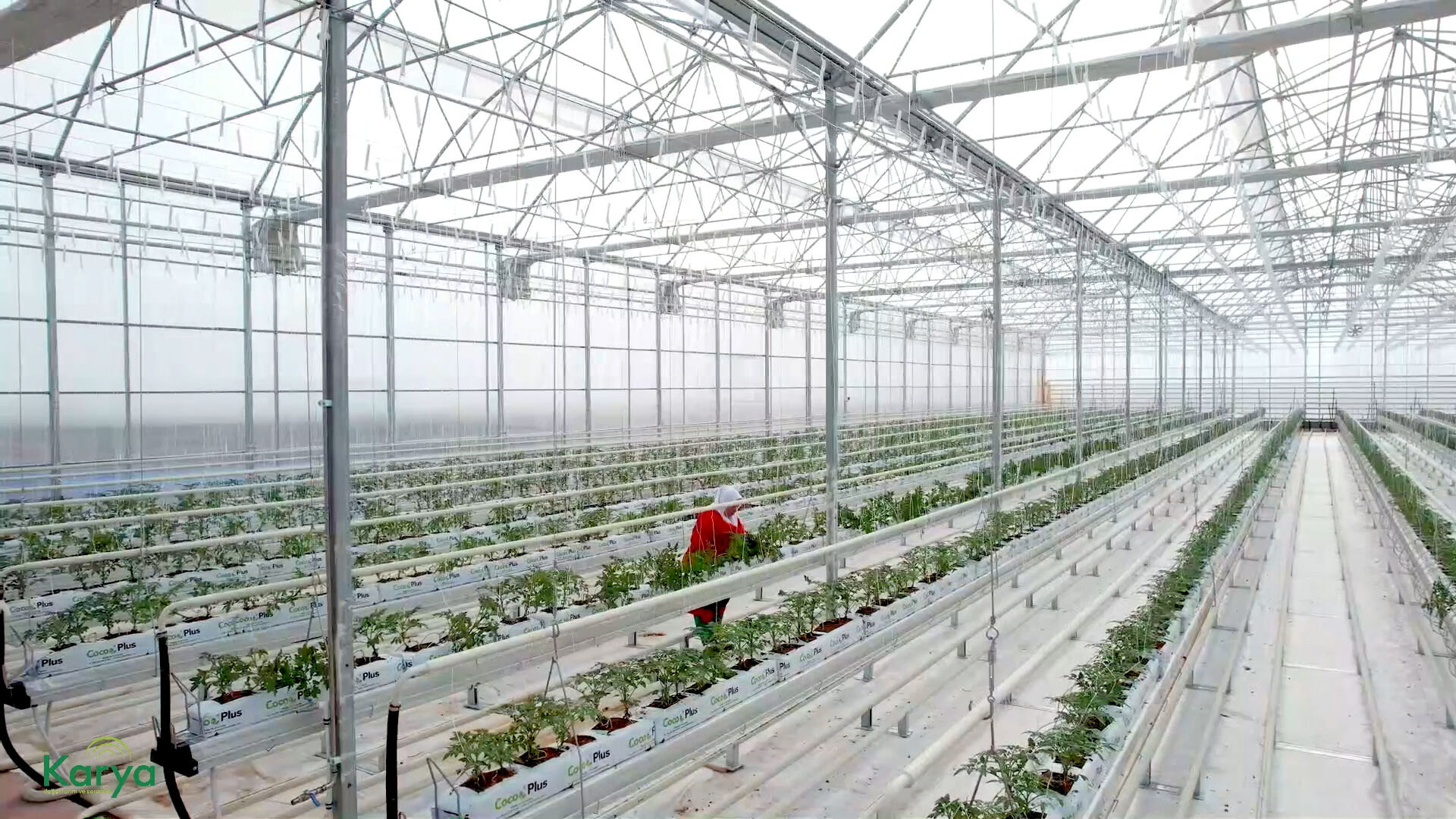 Gıdada önemli satın alma! Dev şirket topraksız tarım işine girdi Gıdada önemli satın alma! Dev şirket topraksız tarım işine girdi - 2. Resim