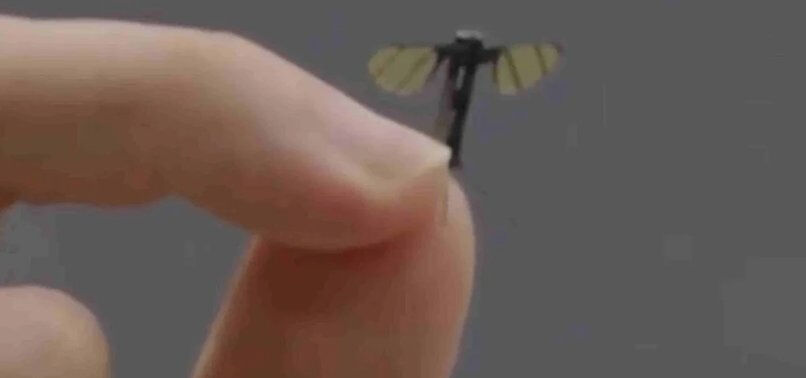 Sivrisinek boyutunda, tespiti neredeyse imkansız! Savaşlar yeni dronlar ile boyut atılıyor Sivrisinek boyutunda, tespiti neredeyse imkansız! Savaşlar yeni dronlar ile boyut atılıyor - 1. Resim