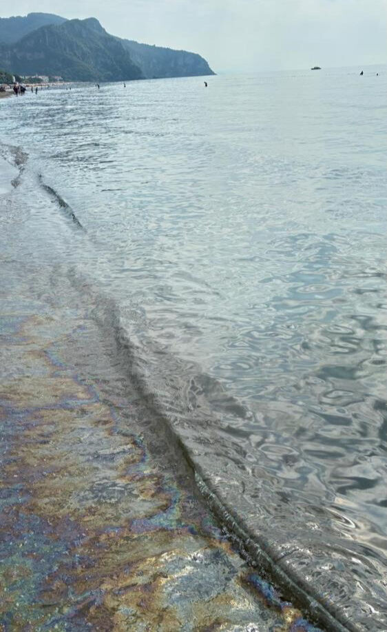 Vatandaşlar fark edip hemen ekiplere bildirdi! Mavi bayraklı plajda denize girmek yasaklandı Vatandaşlar fark edip hemen ekiplere bildirdi! Mavi bayraklı plajda denize girmek yasaklandı - 2. Resim