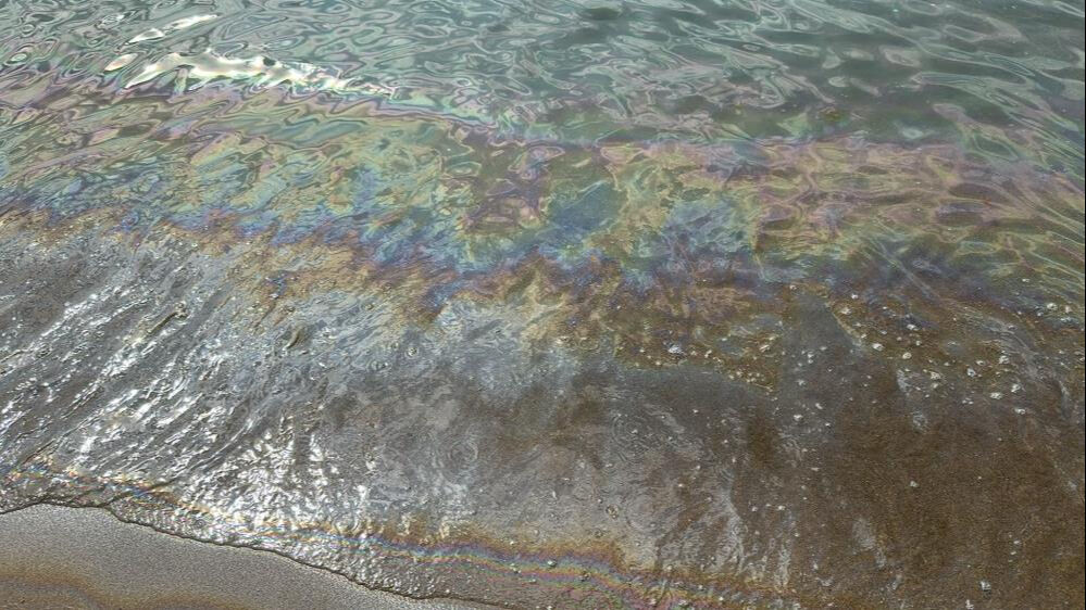 Vatandaşlar fark edip hemen ekiplere bildirdi! Mavi bayraklı plajda denize girmek yasaklandı Vatandaşlar fark edip hemen ekiplere bildirdi! Mavi bayraklı plajda denize girmek yasaklandı - 1. Resim