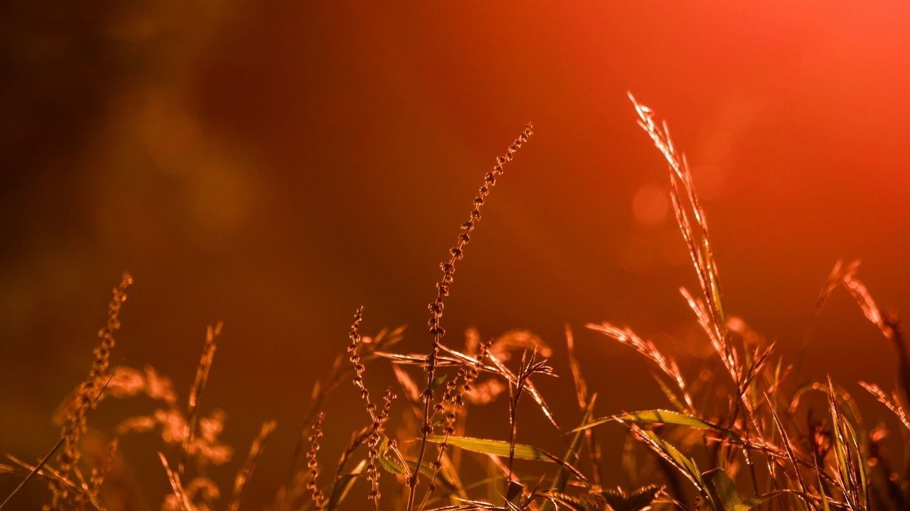 21 Haziran en uzun gündüz kaç saat? Yaz Gündönümü hakkında bildiklerimiz 21 Haziran en uzun gündüz kaç saat? Yaz Gündönümü hakkında bildiklerimiz - 1. Resim