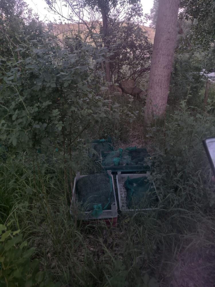 4 kişi yakayı ele verdi! 133 kilo canlı olarak bulundu 4 kişi yakayı ele verdi! 133 kilo canlı olarak bulundu - 1. Resim