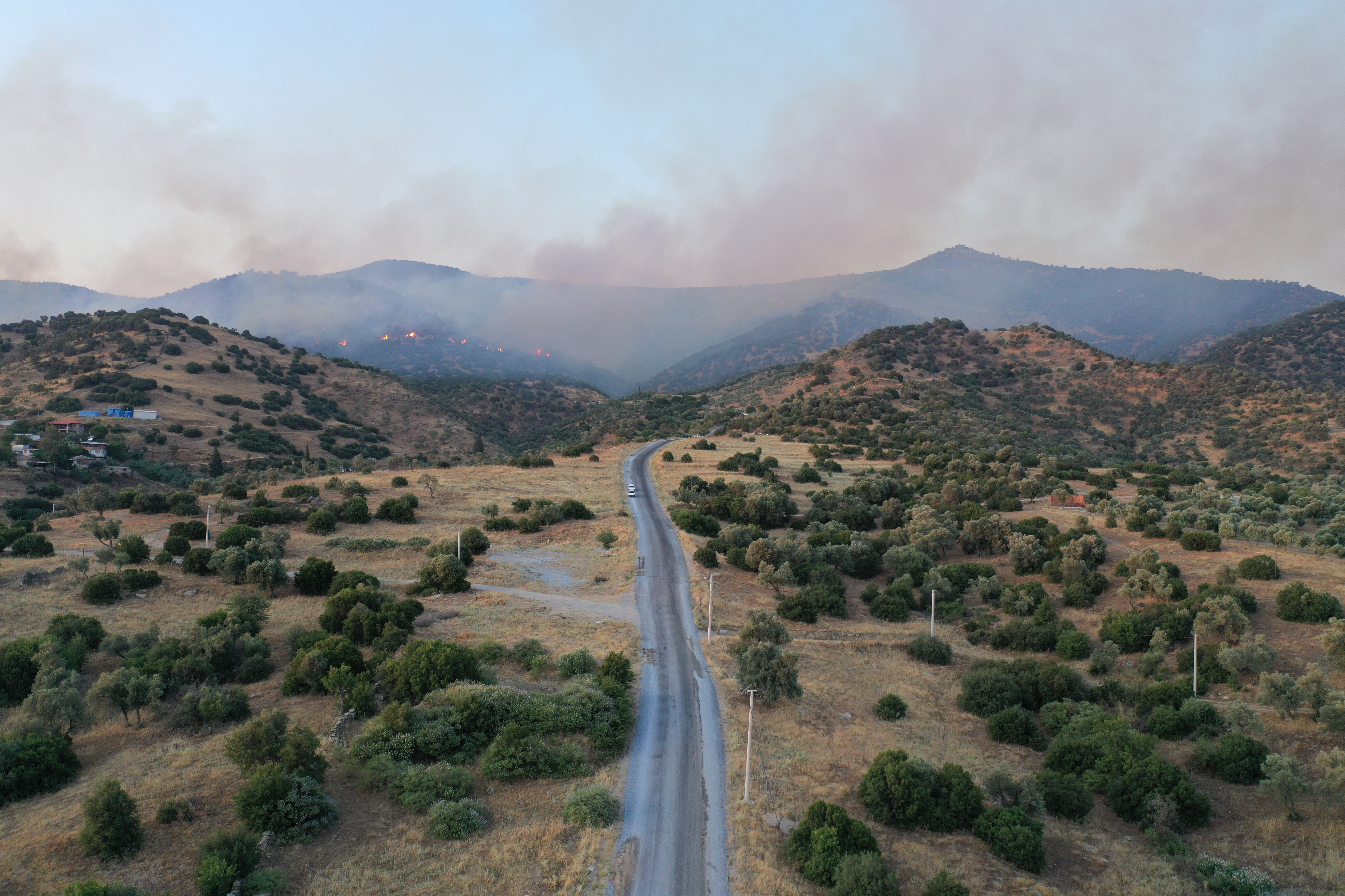 Aydın'da orman yangını! Söndürme çalışmaları saatlerdir sürüyor - 1. Resim