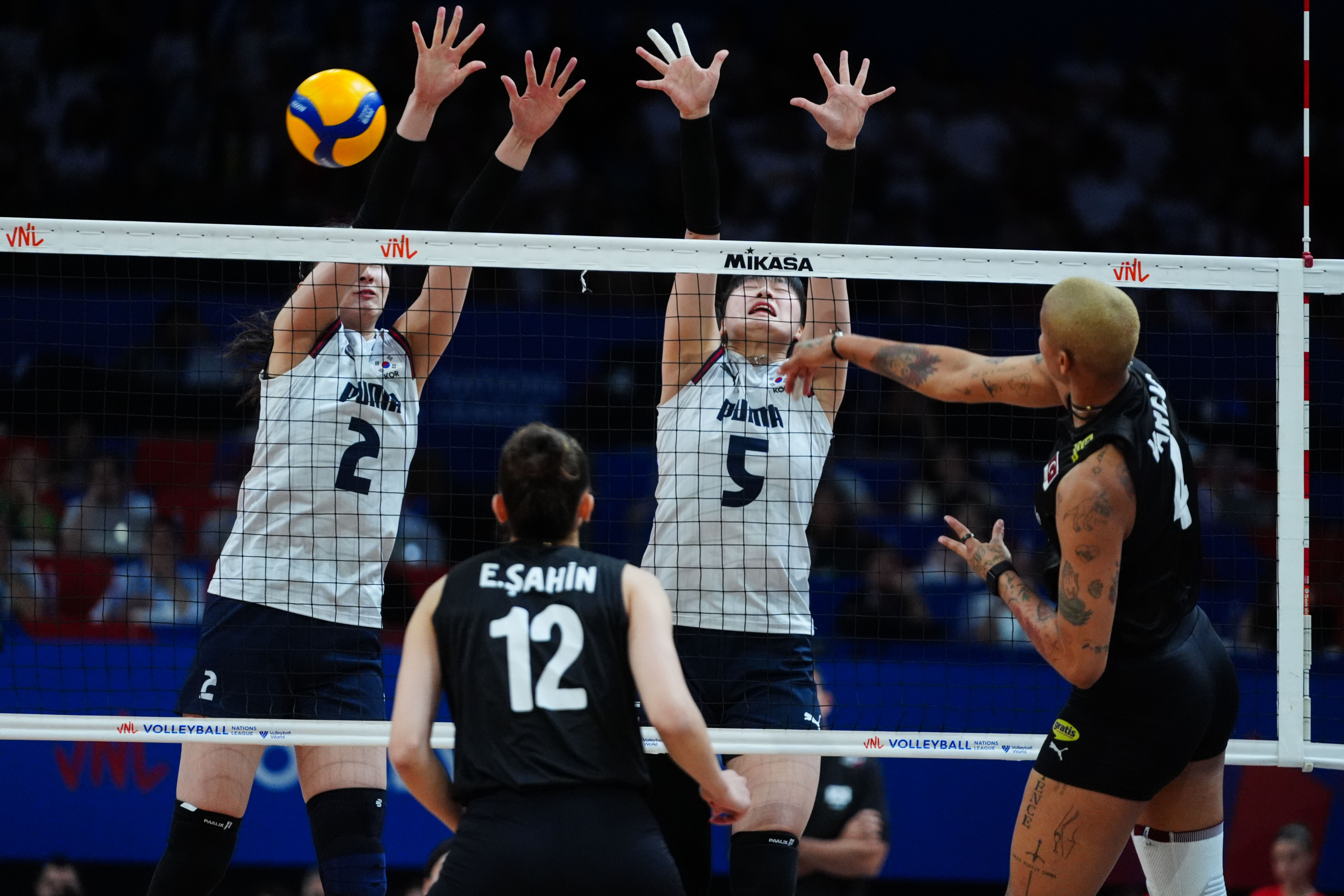 Filenin Sultanları fırtına gibi! 7'de 7 ile Brezilya öncesi fire yok Filenin Sultanları fırtına gibi! 7'de 7 ile Brezilya öncesi fire yok - 1. Resim