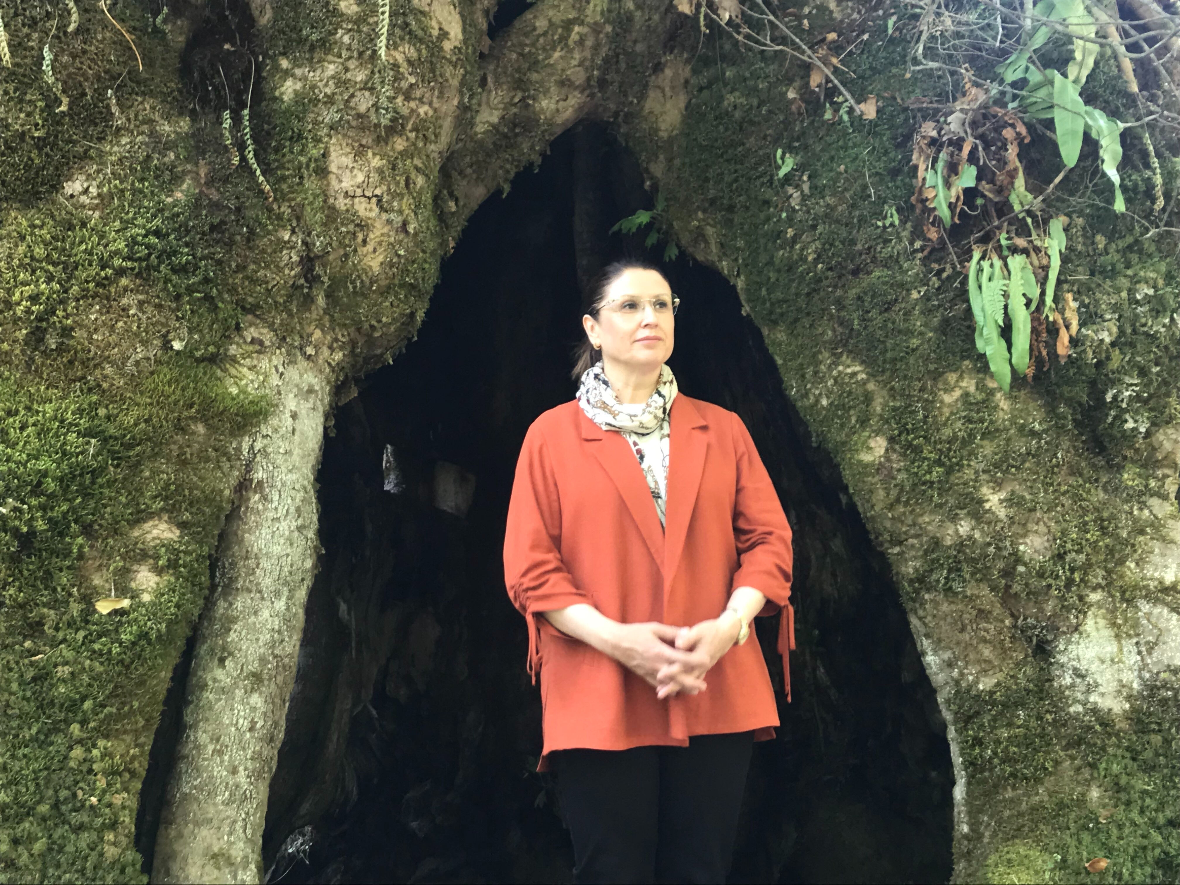 Tesadüfen bulundu, bir ili heyecan sardı! Türkiye'nin en görkemlisi olabilir - 1. Resim