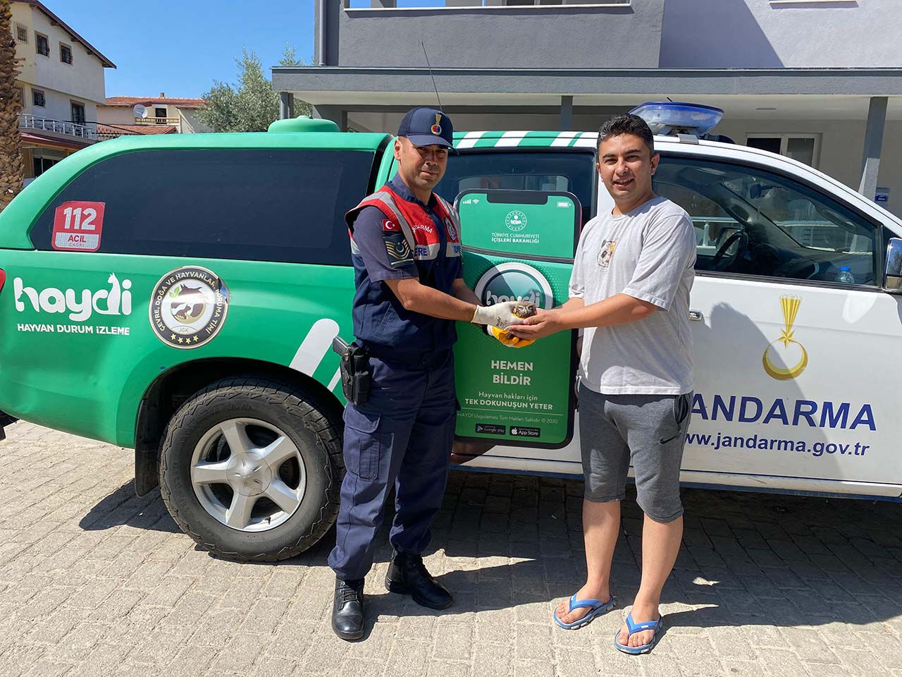 Yavru değil, türünün en küçüğü! Kukumav kuşu jandarmaya emanet edildi - 1. Resim