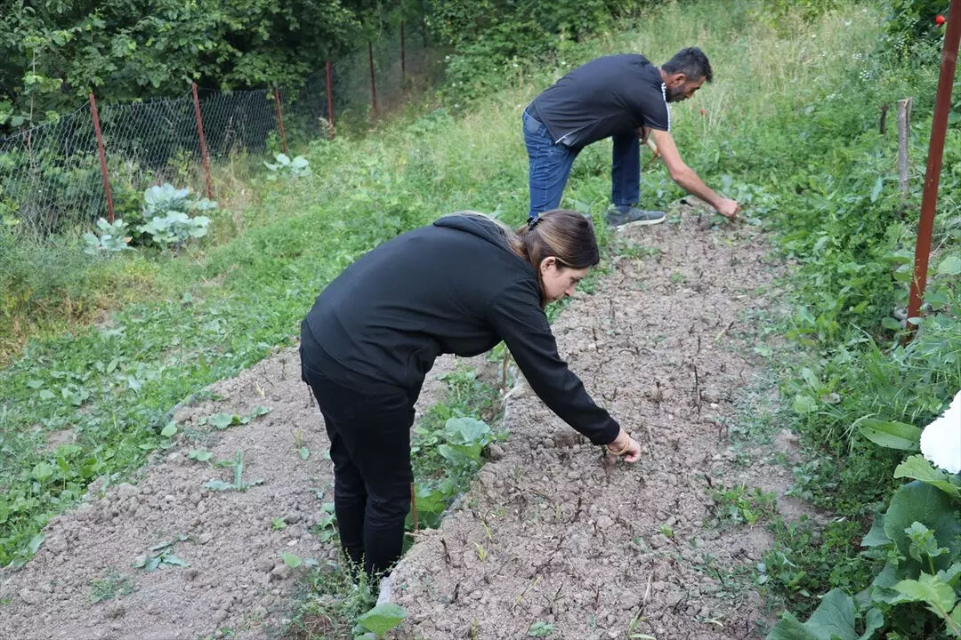 Özel izin alıp üretiliyor: 2 yıl önce merak edip başladılar, şimdi paraya para demiyorlar! "Herkese tavsiye ederiz" Özel izin alıp üretiliyor: 2 yıl önce merak edip başladılar, şimdi paraya para demiyorlar! "Herkese tavsiye ederiz" - 4. Resim