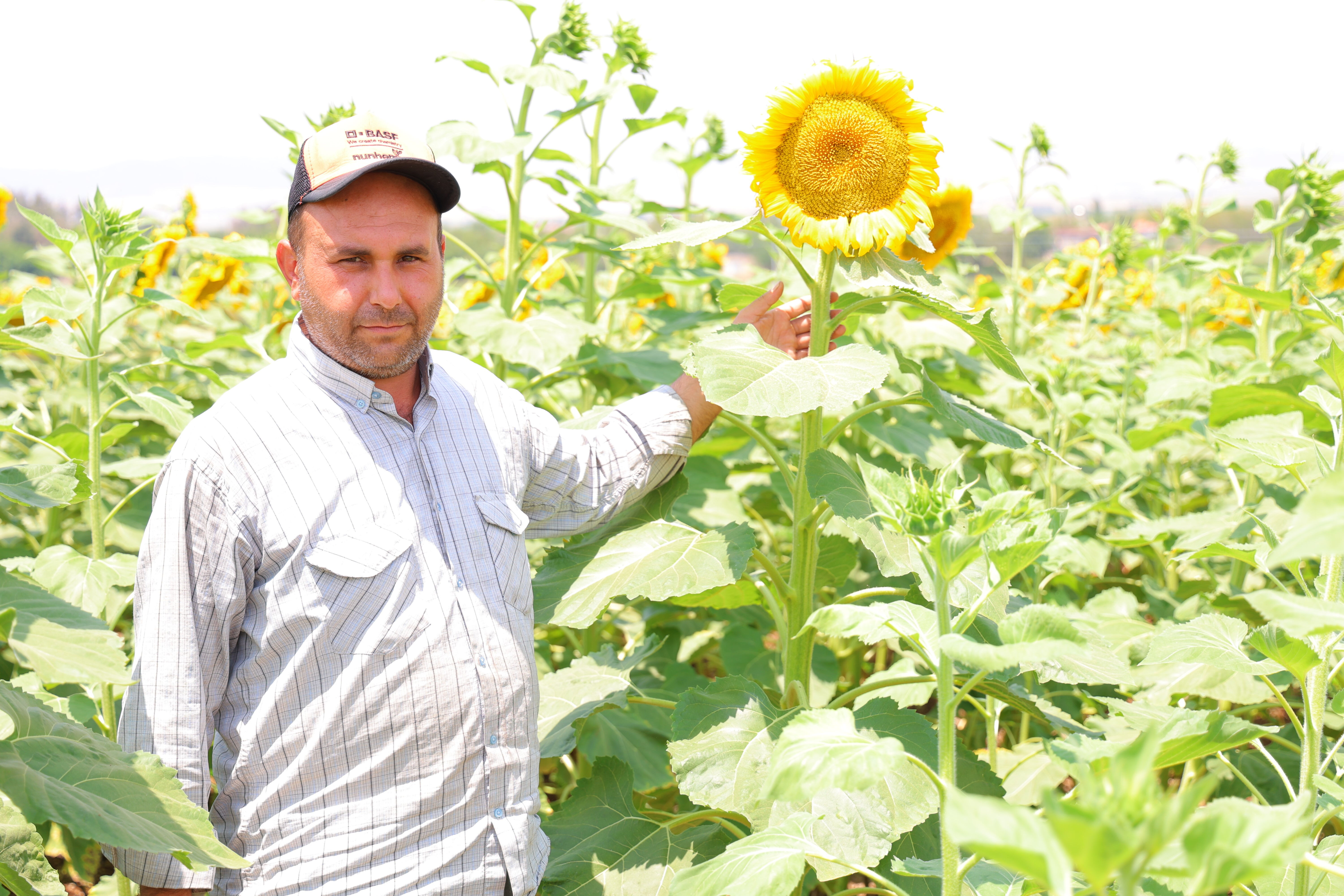 Üretim başladı, cepler doluyor! Sosyal medya meraklılarının uğrak yeri Üretim başladı, cepler doluyor! Sosyal medya meraklılarının uğrak yeri - 2. Resim