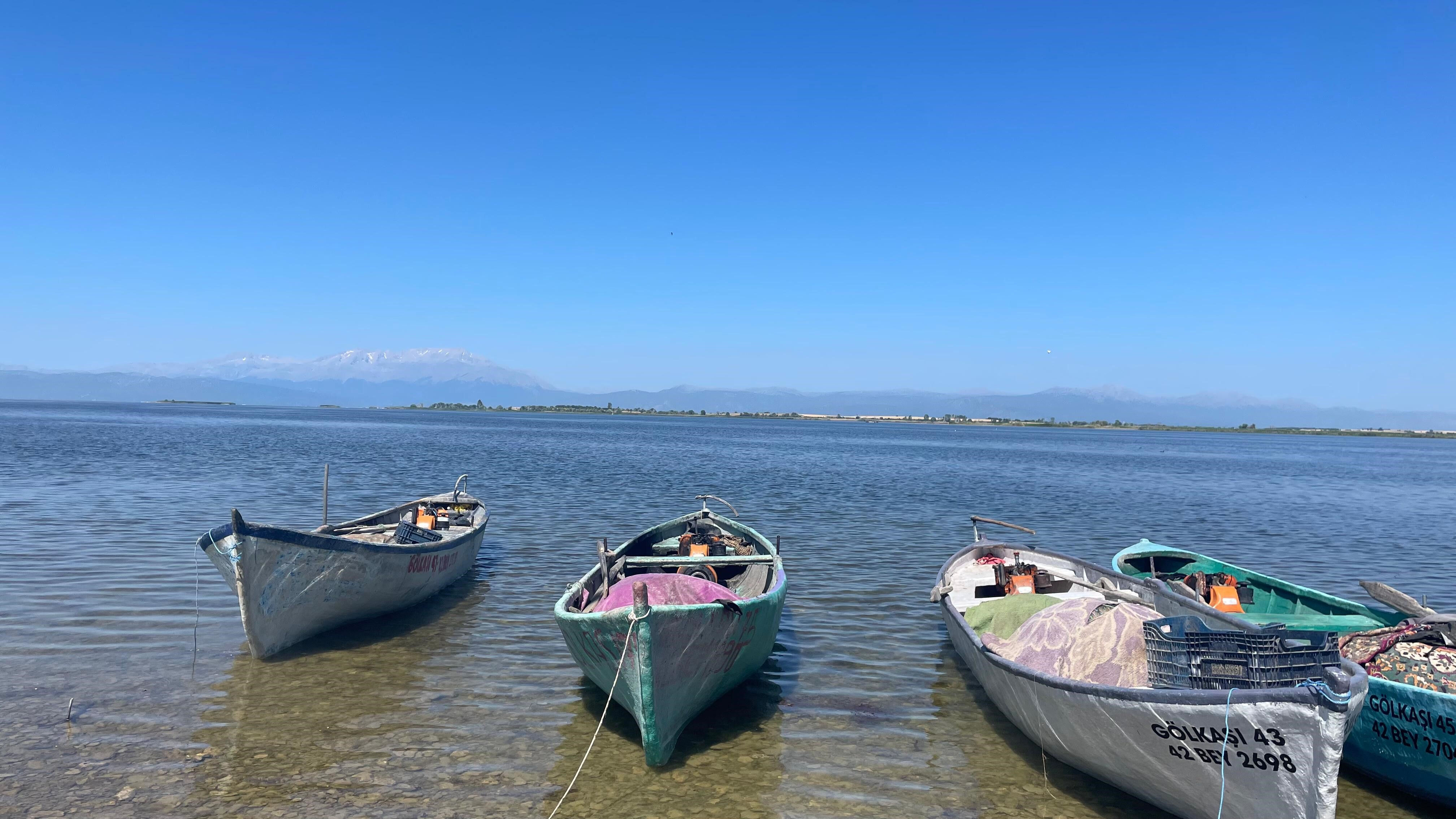 17 kiloluk bereket! Bir anda oltaya takıldı, balıkçılar şaştı kaldı - 2. Resim
