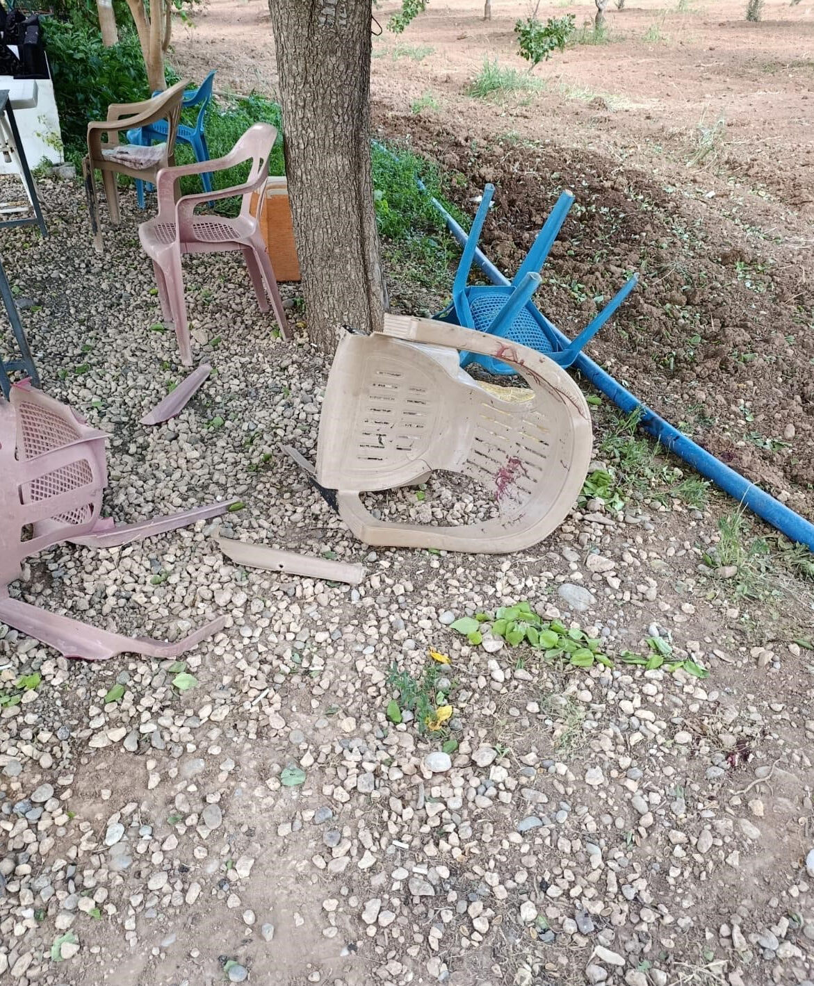 Aile içi katliam! Gencecik Eyüp öldü, ağabeyi ve babası gözaltında - 2. Resim