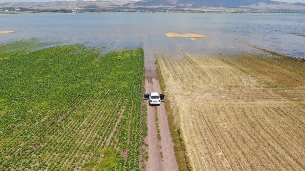 Ekinler sular altında kaldı, bu sene de olmadı! Zarar çok büyük... Ekinler sular altında kaldı, bu sene de olmadı! Zarar çok büyük... - 4. Resim