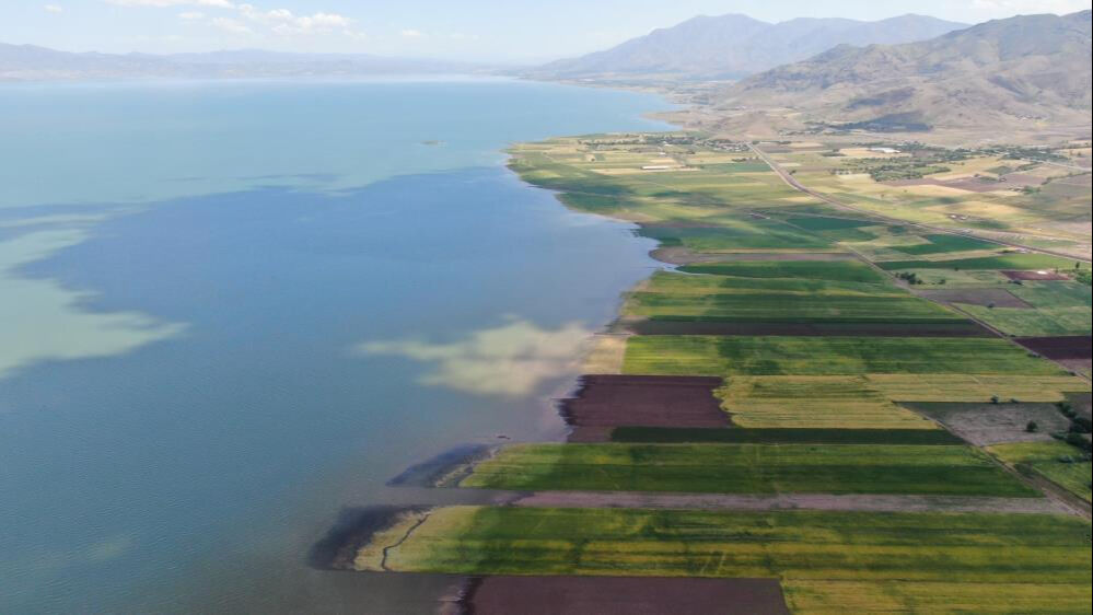 Ekinler sular altında kaldı, bu sene de olmadı! Zarar çok büyük... Ekinler sular altında kaldı, bu sene de olmadı! Zarar çok büyük... - 1. Resim