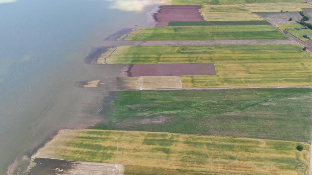 Ekinler sular altında kaldı, bu sene de olmadı! Zarar çok büyük... Ekinler sular altında kaldı, bu sene de olmadı! Zarar çok büyük... - 3. Resim