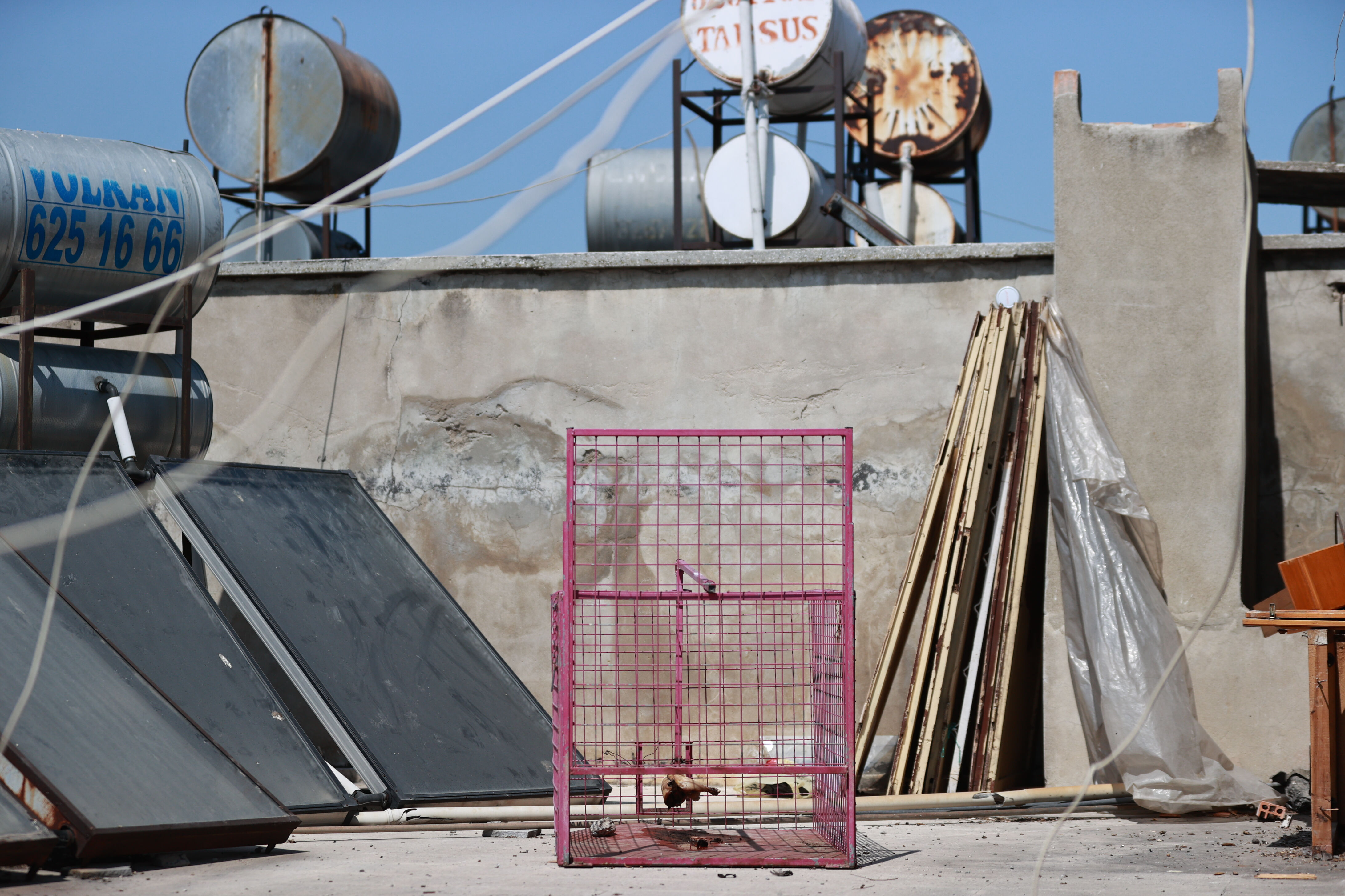 Girmediği ev kalmadı, ne bulursa çalıyor! Yakalanması için kafes kurdular - 1. Resim