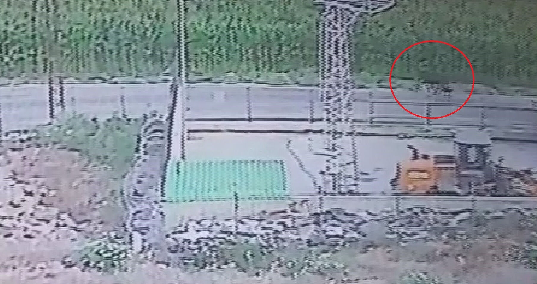 Sinirli ve vahşiler! 3'ü de sırra kadem bastı, zarar 300 bin lira Sinirli ve vahşiler! 3'ü de sırra kadem bastı, zarar 300 bin lira - 2. Resim