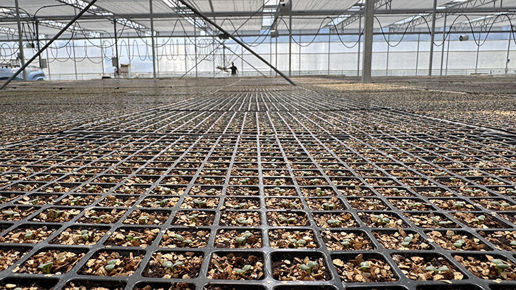 Zonguldak'ta kuruldu! Türkiye ekonomisine yıllık 750 milyon lira katkı verecek Zonguldak'ta kuruldu! Türkiye ekonomisine yıllık 750 milyon lira katkı verecek - 2. Resim