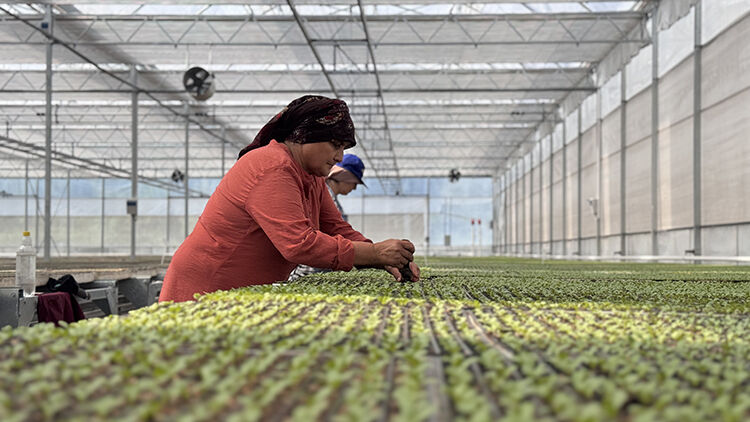 Zonguldak'ta kuruldu! Türkiye ekonomisine yıllık 750 milyon lira katkı verecek Zonguldak'ta kuruldu! Türkiye ekonomisine yıllık 750 milyon lira katkı verecek - 3. Resim