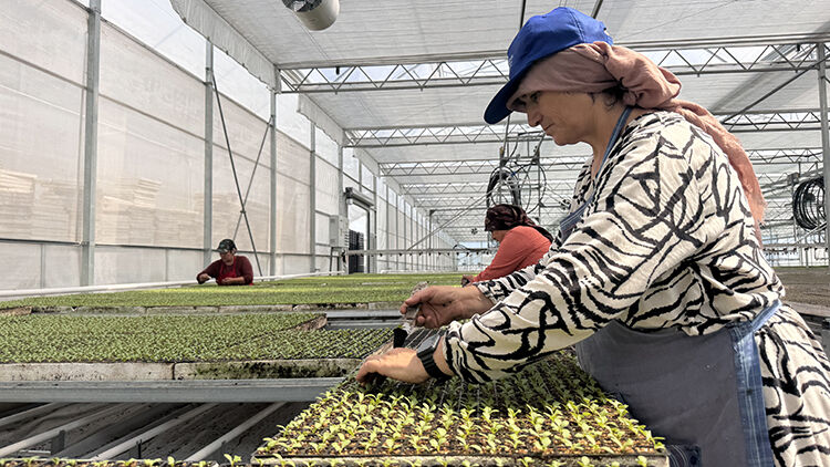 Zonguldak'ta kuruldu! Türkiye ekonomisine yıllık 750 milyon lira katkı verecek Zonguldak'ta kuruldu! Türkiye ekonomisine yıllık 750 milyon lira katkı verecek - 1. Resim