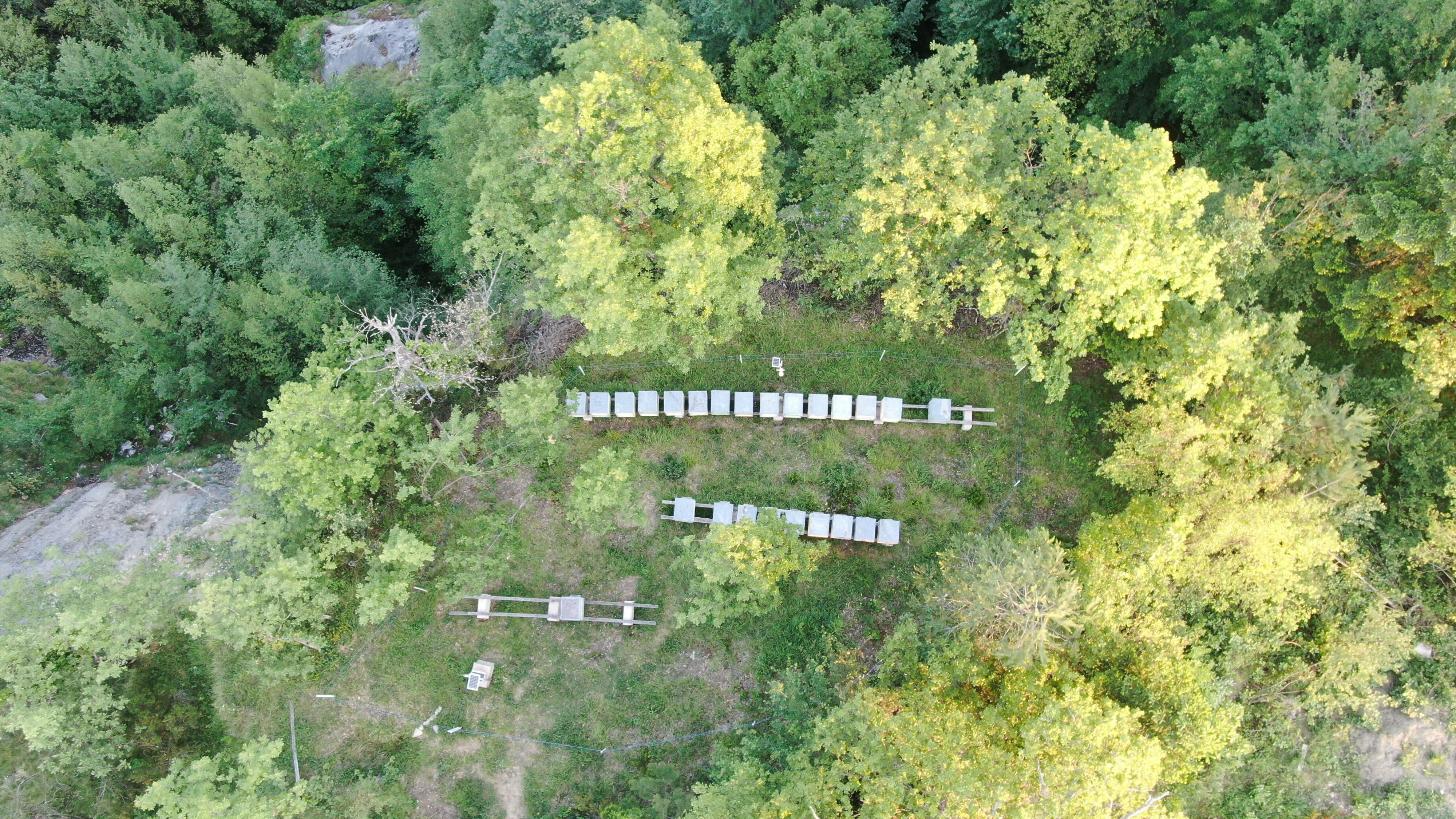 1 çay kaşığı şifa, fazlası ölüm! Bu bal çok farklı, kilosu 3 bin liraya kapış kapış satılıyor - 2. Resim
