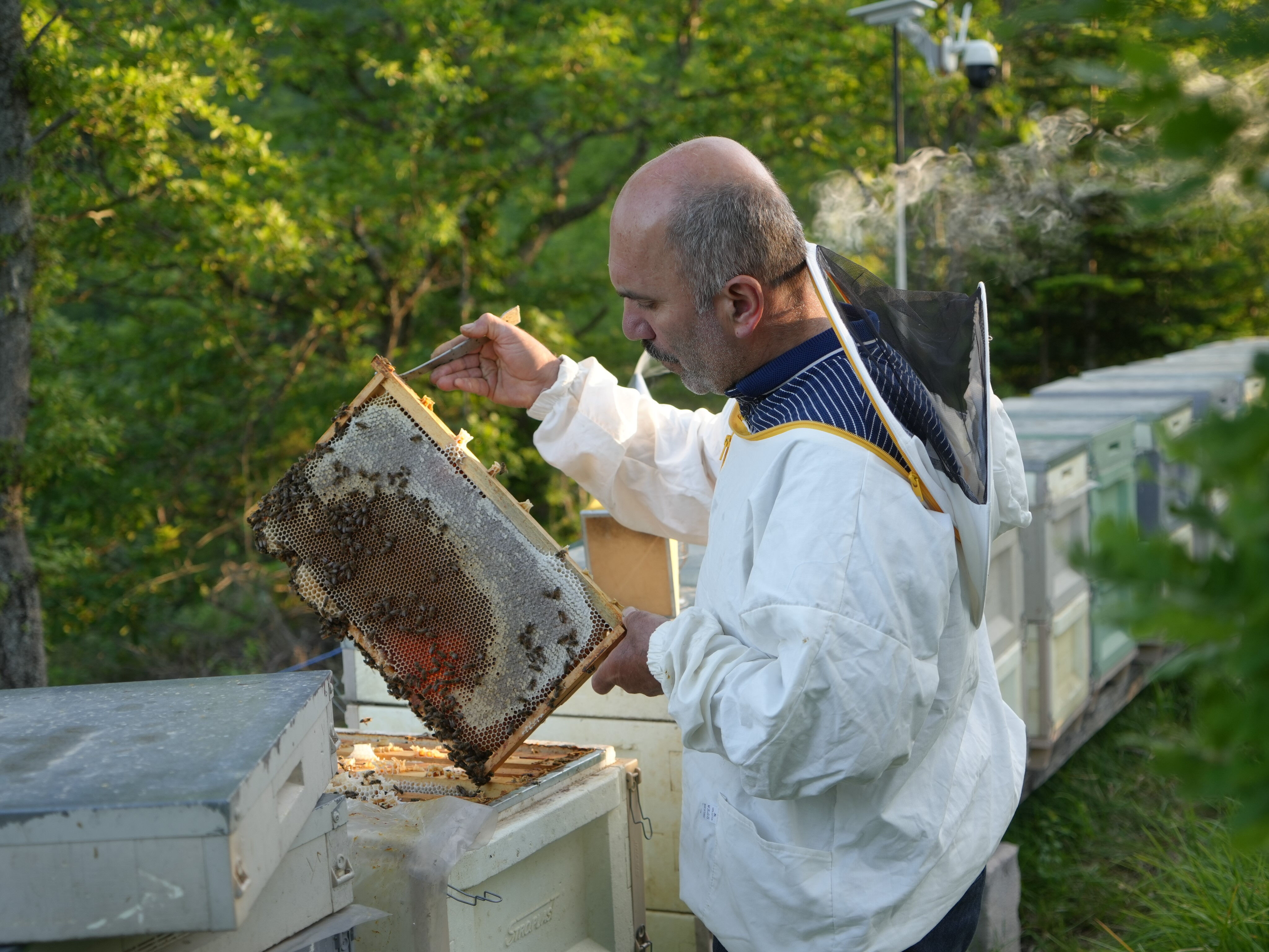 1 çay kaşığı şifa, fazlası ölüm! Bu bal çok farklı, kilosu 3 bin liraya kapış kapış satılıyor - 4. Resim