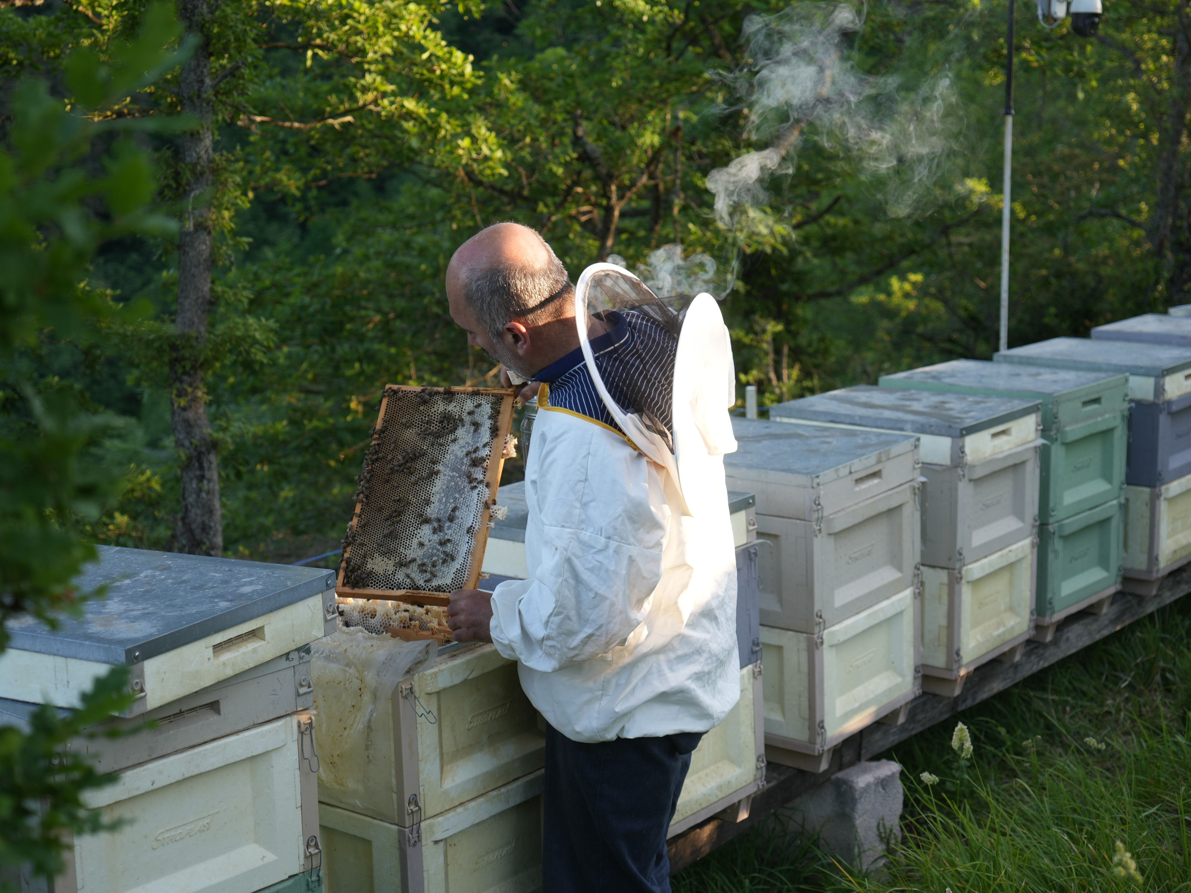 1 çay kaşığı şifa, fazlası ölüm! Bu bal çok farklı, kilosu 3 bin liraya kapış kapış satılıyor - 1. Resim