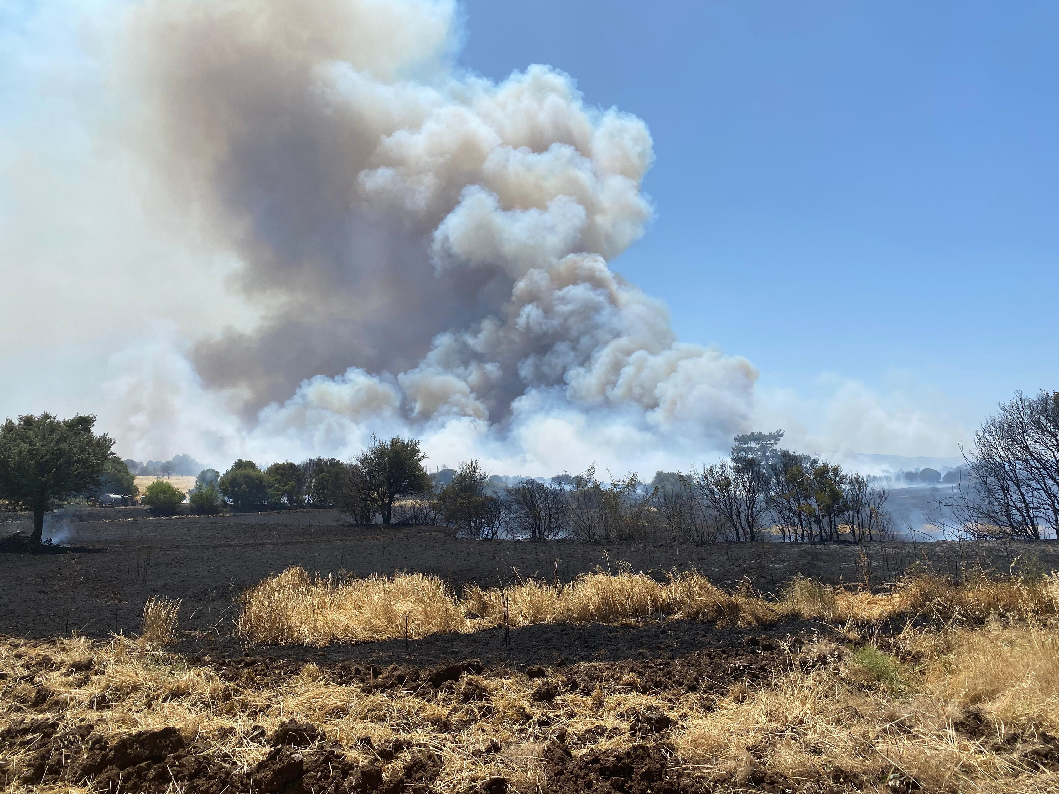 Birçok noktada yangın! Dumanlar gökyüzünü kapladı - 1. Resim