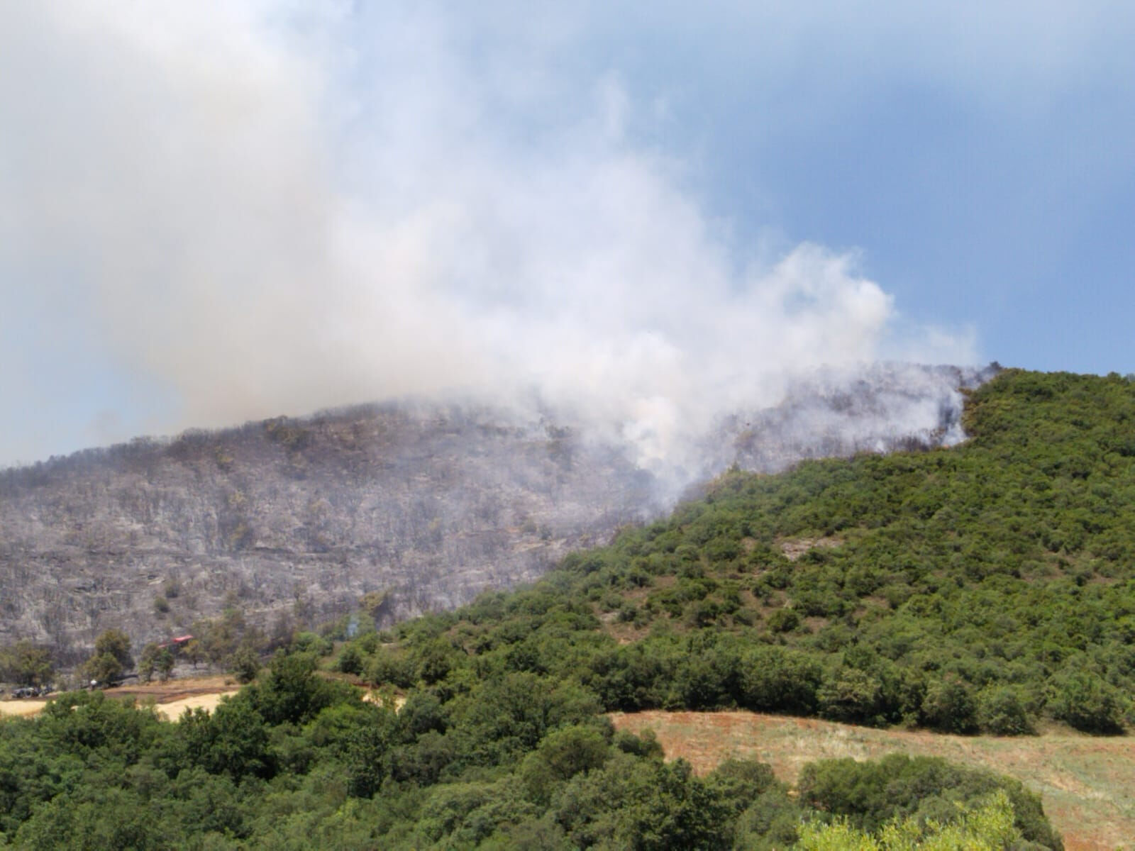 Birçok noktada yangın! Dumanlar gökyüzünü kapladı - 3. Resim