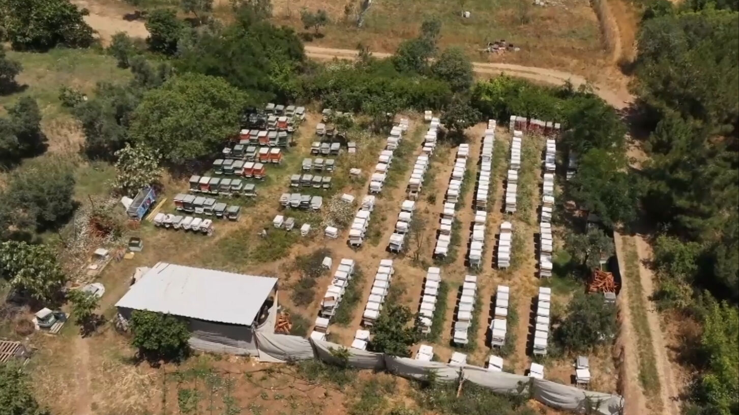 Dünyanın en kıymetli besini! 4 ortak eşleriyle birlikte üretip kilosunu 45 bin liraya satıyor - 1. Resim