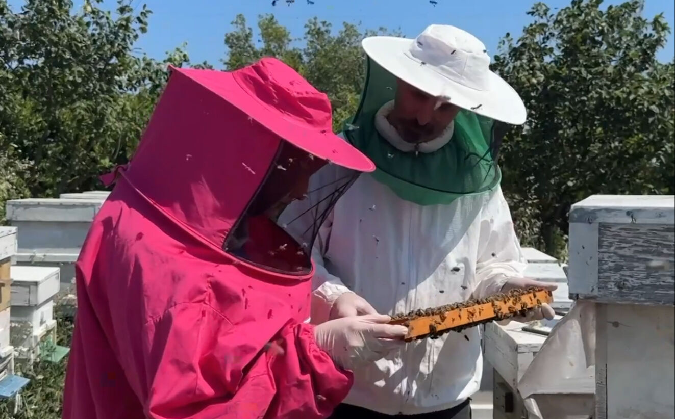 Dünyanın en kıymetli besini! 4 ortak eşleriyle birlikte üretip kilosunu 45 bin liraya satıyor - 2. Resim