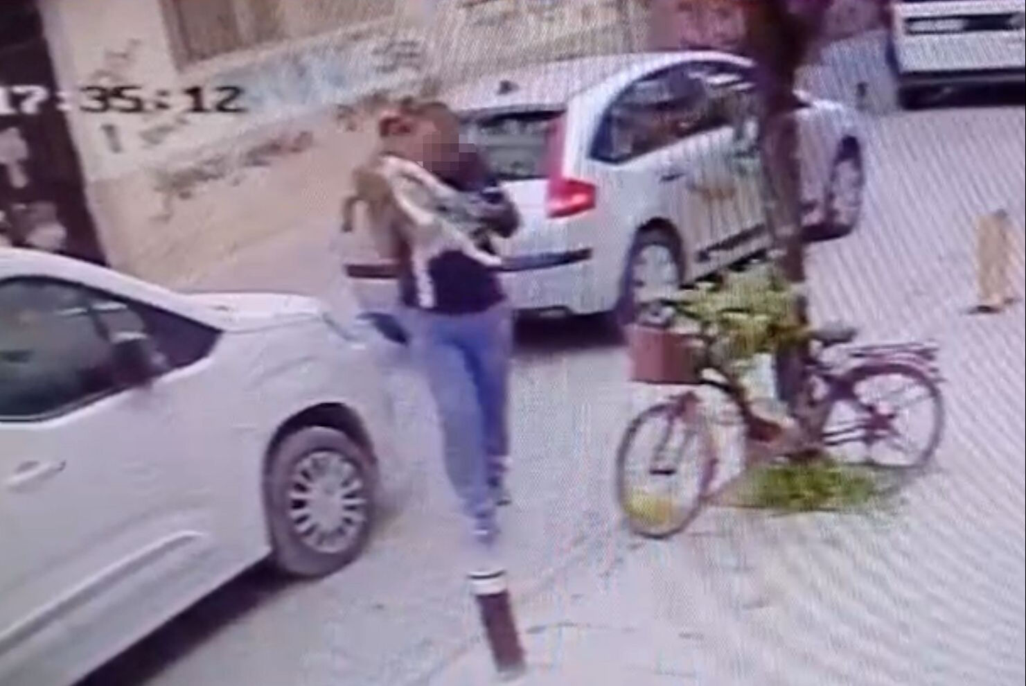 İnsafsızlığın bu kadarı! Kucağındaki köpeği yere fırlattı: O anlar kamerada - 1. Resim