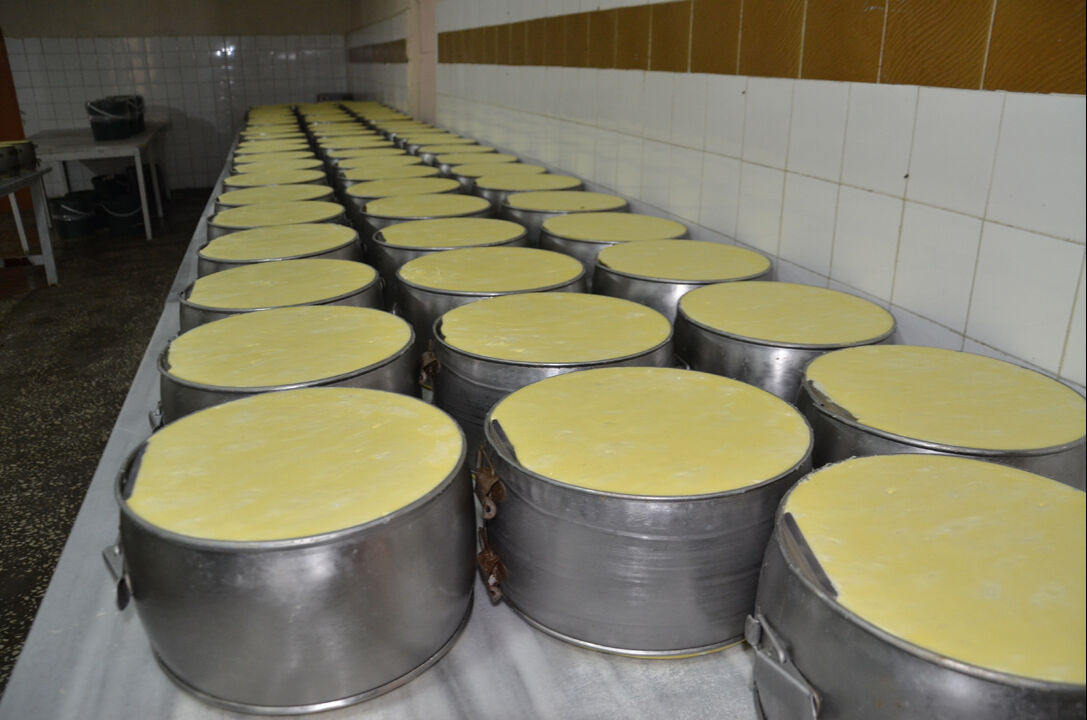 Muşlu 5 kardeş 62 yıldır üretiyor: 6 ay bekletiyorlar, milyonları kazanıyorlar - 1. Resim