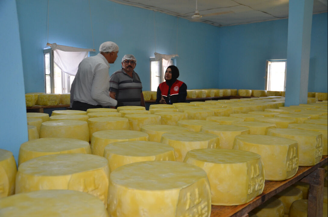 Muşlu 5 kardeş 62 yıldır üretiyor: 6 ay bekletiyorlar, milyonları kazanıyorlar - 5. Resim