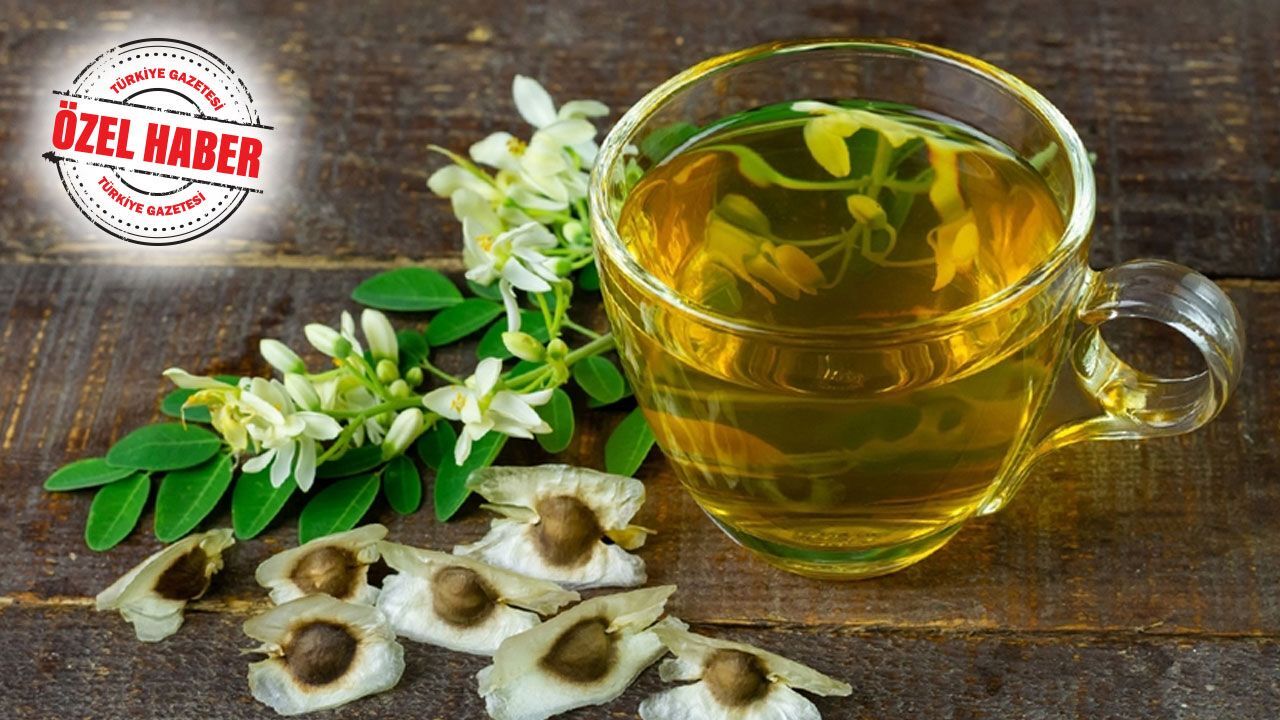 Yaşam