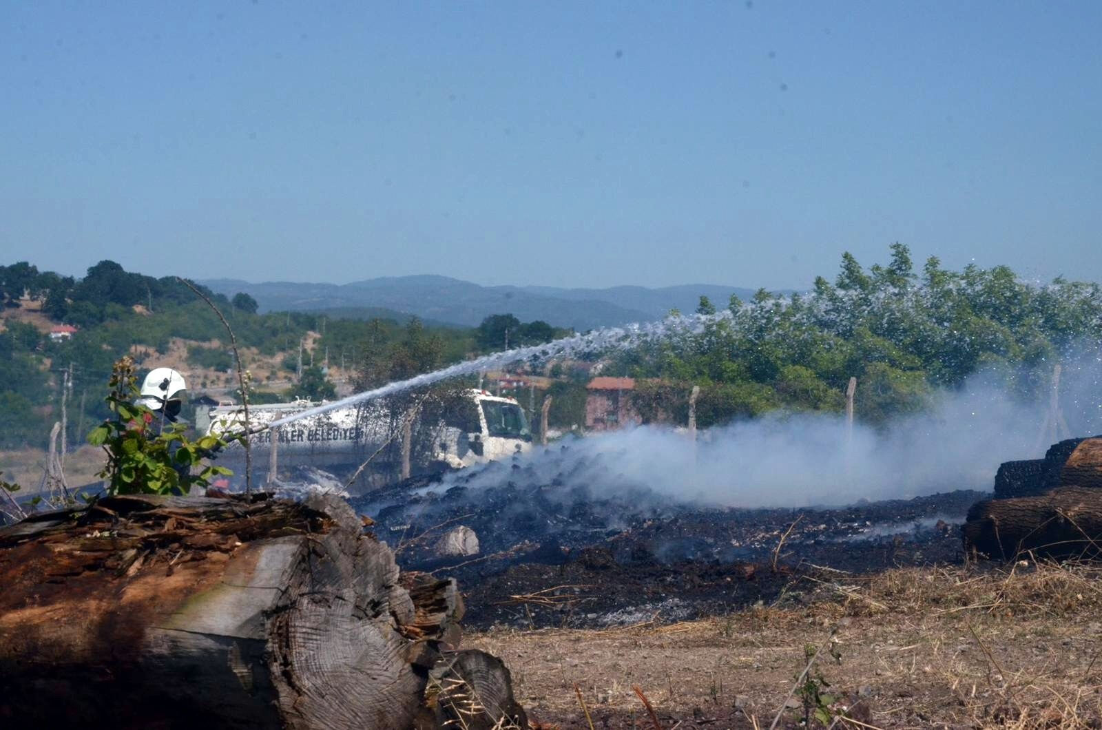 Sakarya'da alevler yükseldi! Bir site tahliye edildi, yangınla amansız mücadele - 1. Resim