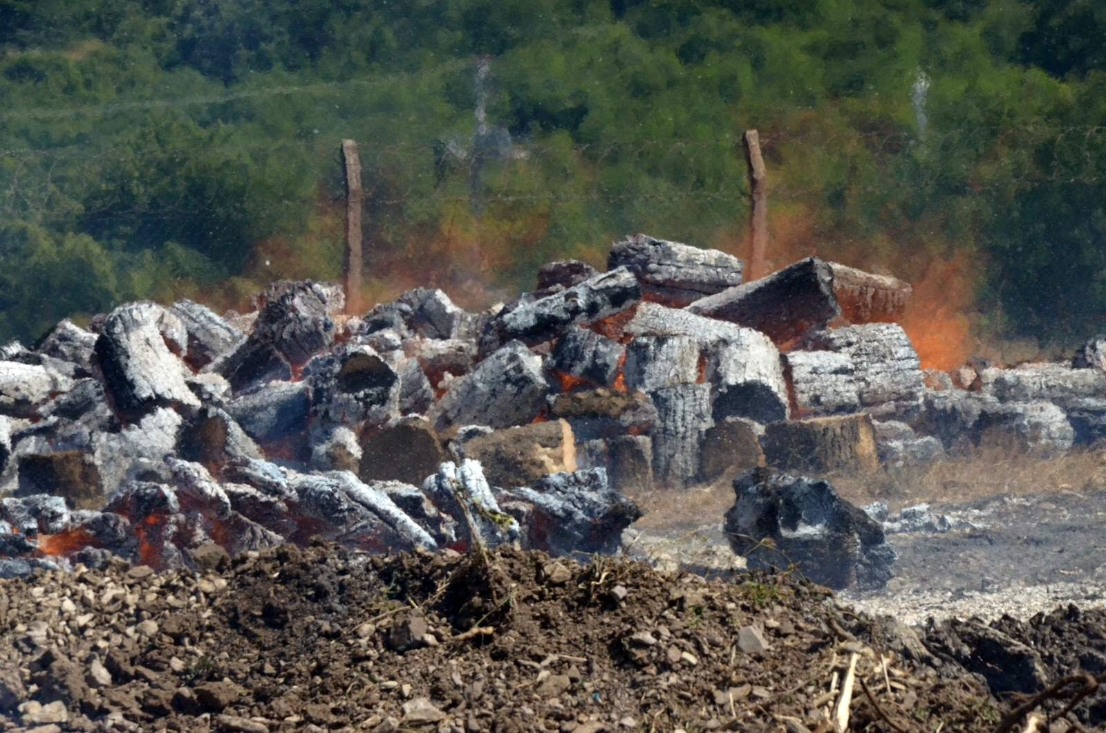 Sakarya'da alevler yükseldi! Bir site tahliye edildi, yangınla amansız mücadele - 4. Resim
