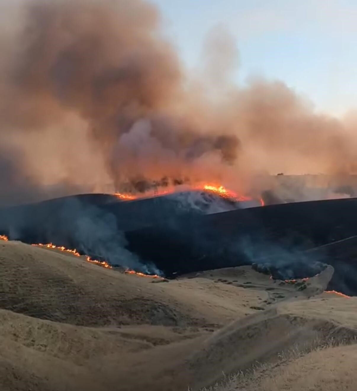 Anız ve orman yangını geceyi aydınlattı, TOMA ile müdahale devam ediyor Anız ve orman yangını geceyi aydınlattı, TOMA ile müdahale devam ediyor - 3. Resim