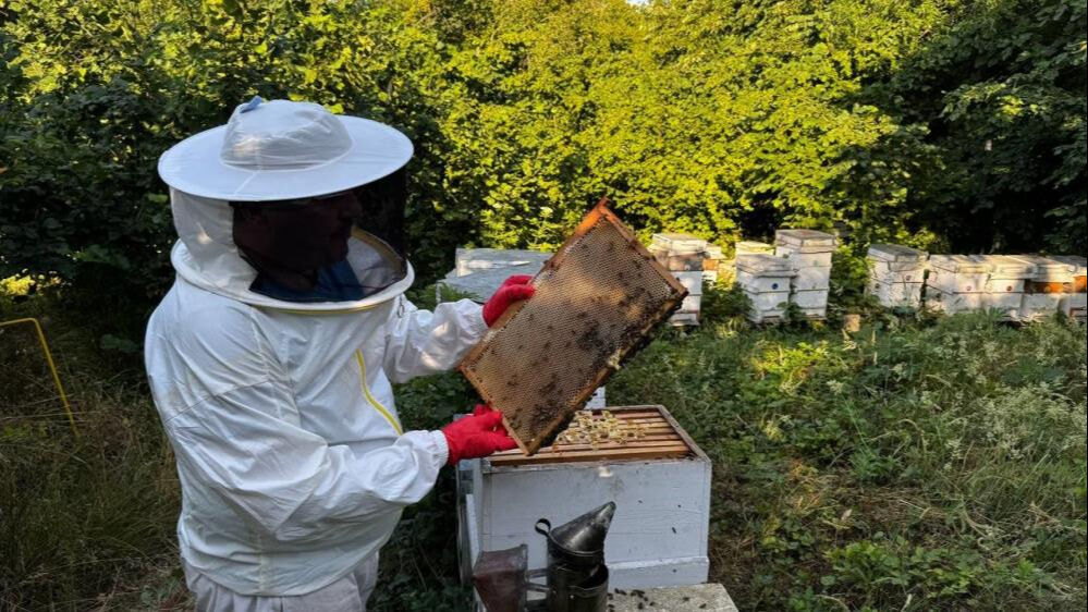 Bu işe dede nasihatiyle başladı! Kilosunu 2500 liradan satıyor  - 3. Resim