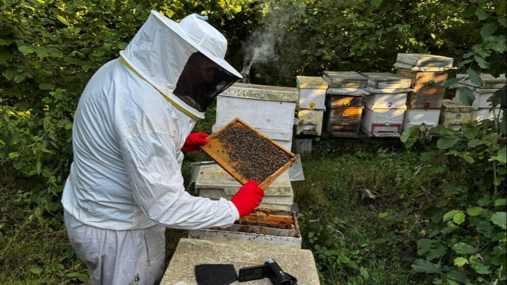 Bu işe dede nasihatiyle başladı! Kilosunu 2500 liradan satıyor  - 1. Resim